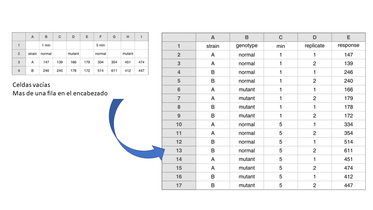 Diseño rectangular simple, facilita la lectura de la información con lenguajes de programación.